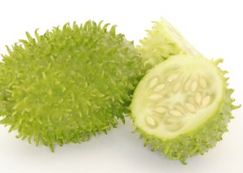 O vegetal mais esquecido do Brasil combate 3 doenças