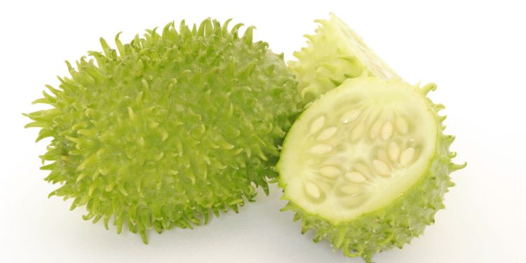 Esse vegetal pode te ajudar a evitar diversas doenças / Créditos: depositphotos.com / casadaphoto