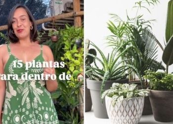 Lyara Moraes, paisagista "15 plantas para dentro de casa"