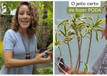 Carol Costa, “O jeito certo de fazer poda”
