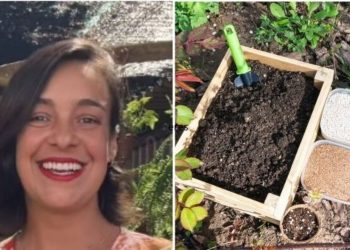 Lyara Moraes, jardineira "Vermiculita x Perlita saiba a diferença