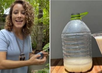 Carol Costa, "Faça 50 litros do melhor adubo pro solo"