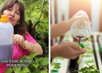 Ângela Cristina, "Triplique o tamanho das suas plantas com esse adubo natural"