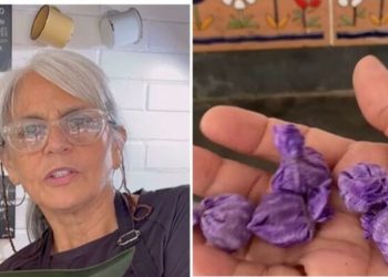 Maria Monteiro, "Como manter seus plantas sempre adubadas"