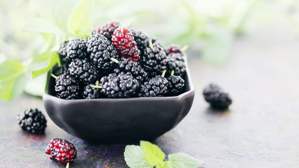 Essa fruta esquecida pode melhorar sua memória sem você perceber