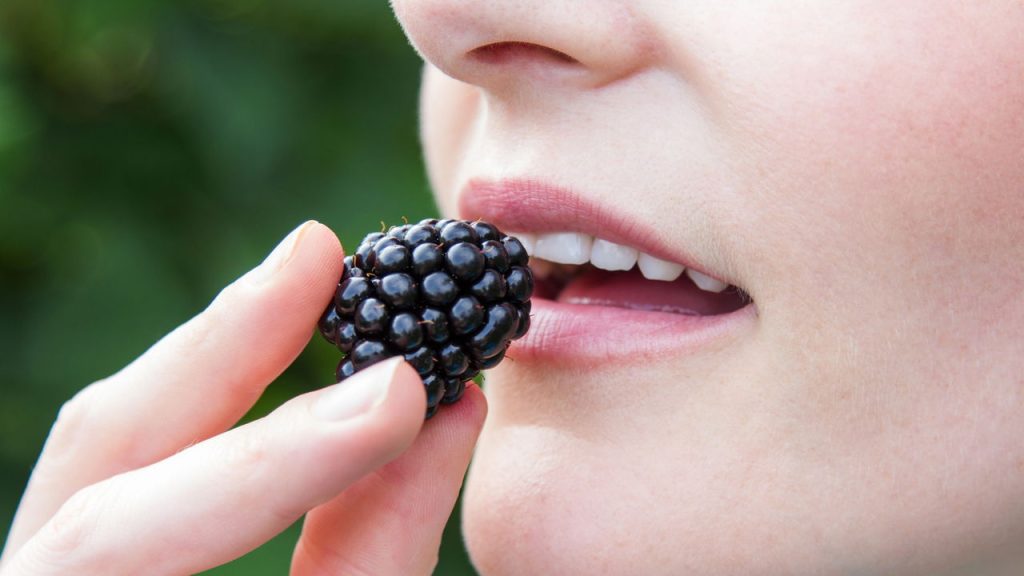 Essa fruta poderosa pode proteger as células, ajudar o coração, equilibrar o metabolismo e ainda ser cultivada facilmente em casa