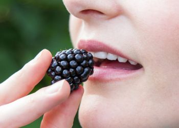 Essa fruta poderosa pode proteger as células, ajudar o coração, equilibrar o metabolismo e ainda ser cultivada facilmente em casa