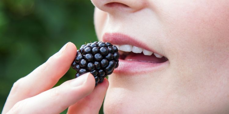 Essa fruta poderosa pode proteger as células, ajudar o coração, equilibrar o metabolismo e ainda ser cultivada facilmente em casa