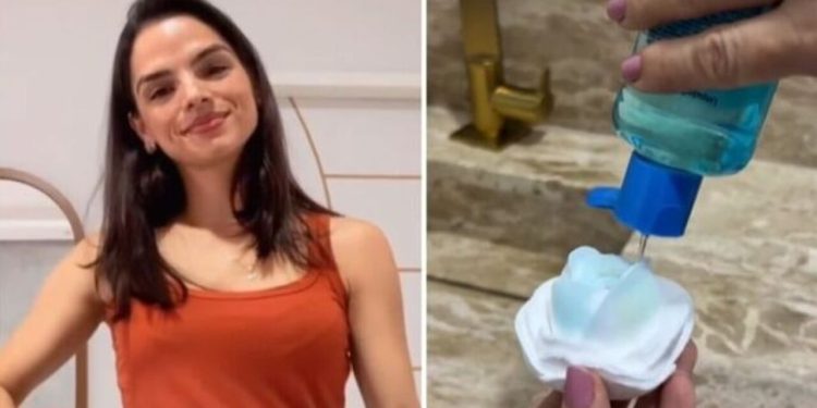 Dani Menezes, "Aromatizador caseiro com coala"