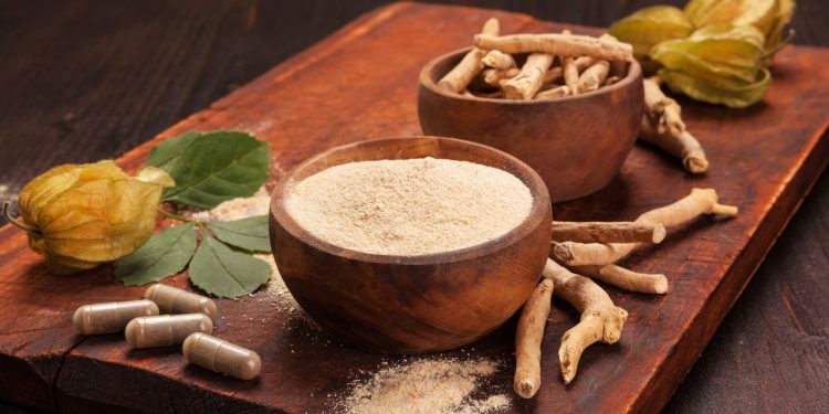 Essas plantas podem te ajudar a combater a ansiedade de forma natural / Créditos: depositphotos.com / eskymaks