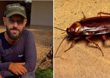 Samyr Chuluc, jardineiro "Plantas que afastam baratas"