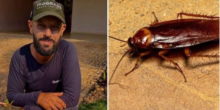 Samyr Chuluc, jardineiro "Plantas que afastam baratas"