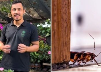Victor Dias, paisagista "4 plantas que afastam baratas"