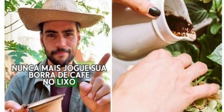 Paulo de Jesus, agroecologista, "Nunca mais jogue borra de café no lixo"