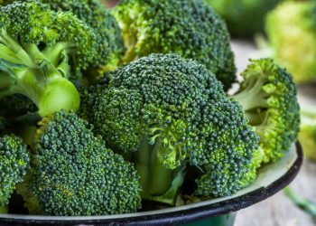 Vegetal poderoso recomendado pela ciência protege a saúde e cresce fácil em casa