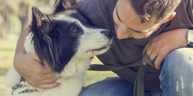 Por que os cães se aproximam quando estamos tristes