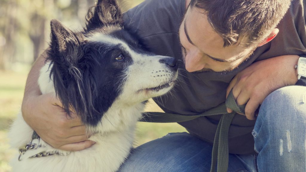 O que significa quando seu cão olha nos seus olhos por um longo tempo, segundo especialistas?