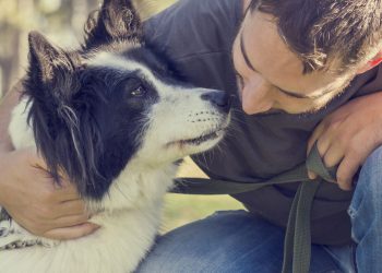 O que significa quando seu cão olha nos seus olhos por um longo tempo, segundo especialistas?