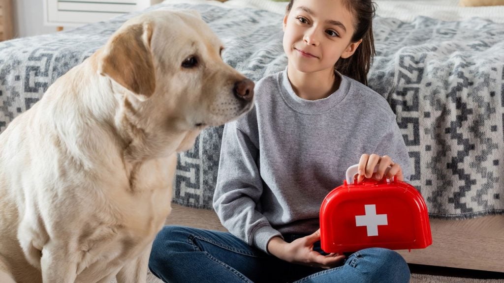 Seu cachorro pode estar pedindo socorro e você nem percebeu