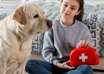 O que significa que seu cão suspira do nada, de acordo com veterinários?