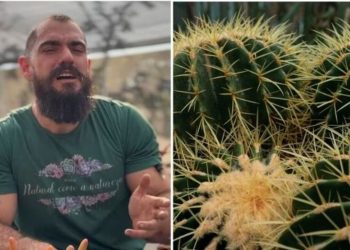 Guydo Horta, "Como plantar cactos cheios de espinhos sem machucar a mão?"