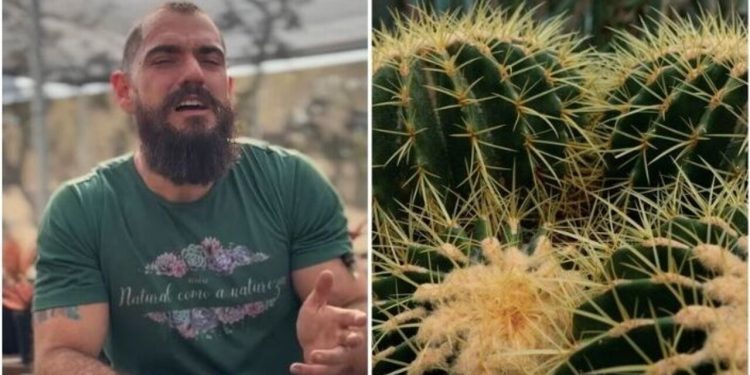 Guydo Horta, "Como plantar cactos cheios de espinhos sem machucar a mão?"