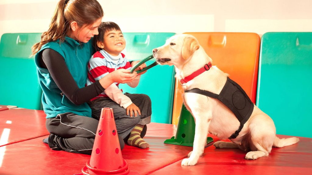 Cientistas descobrem algo surpreendente no convívio com cães
