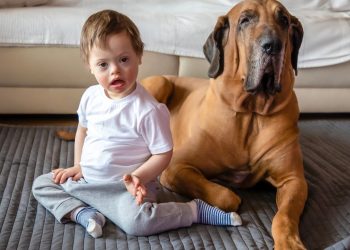 As raças de cachorro e gato mais incríveis criadas no Brasil