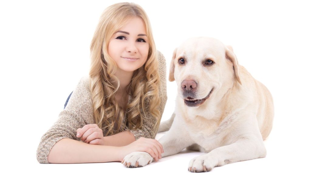 A descoberta de Harvard sobre cães que pode mudar sua saúde