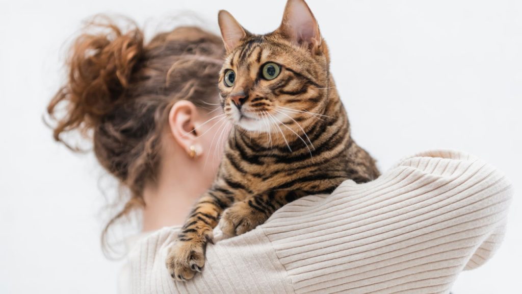 Alimentos proibidos para pets que muitos ainda oferecem sem saber