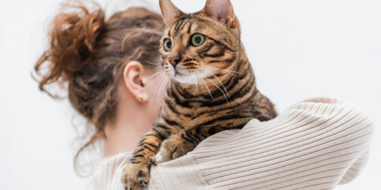 Alimentos proibidos para pets que muitos ainda oferecem sem saber