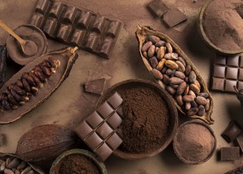 Comer chocolate pode turbinar a memória e aliviar o estresse