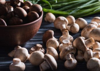 motivos para trocar a carne por cogumelos e micoproteína agora mesmo