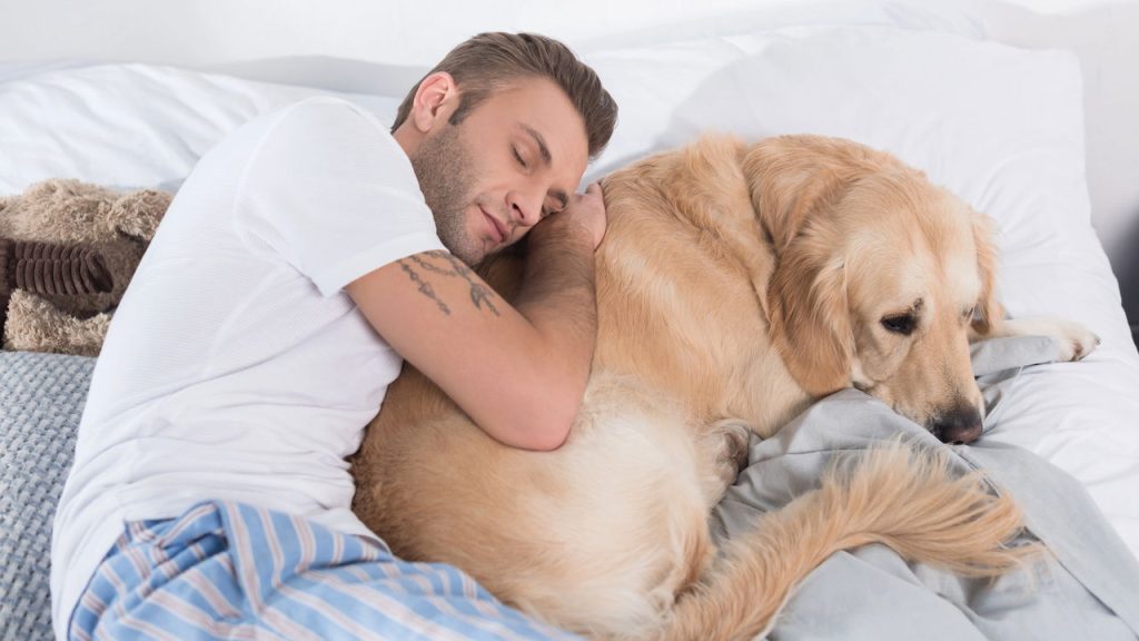 Dormir com cães e gatos faz bem ou mal para a saúde? Veja o que dizem especialistas