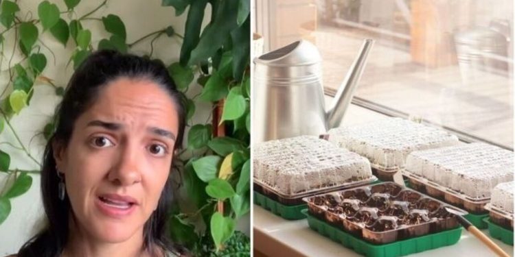 Letícia Bueno, "Aprenda a fazer uma estufa caseira para suas mudas"