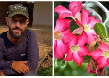 Samyr Chuluc, paisagista "5 dicas para sua Rosa-do-Deserto"