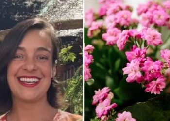 Lyara Moraes, "Curiosidades sobre a Kalanchoe"