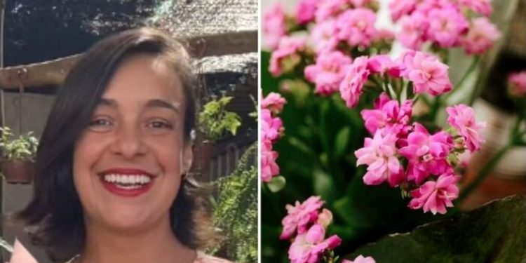 Lyara Moraes, "Curiosidades sobre a Kalanchoe"
