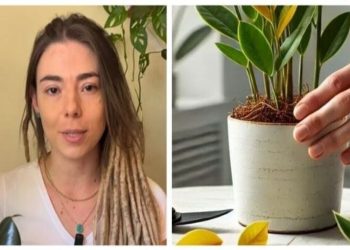 Camila Lelis, especialista em plantas, "Sinais das folhas"