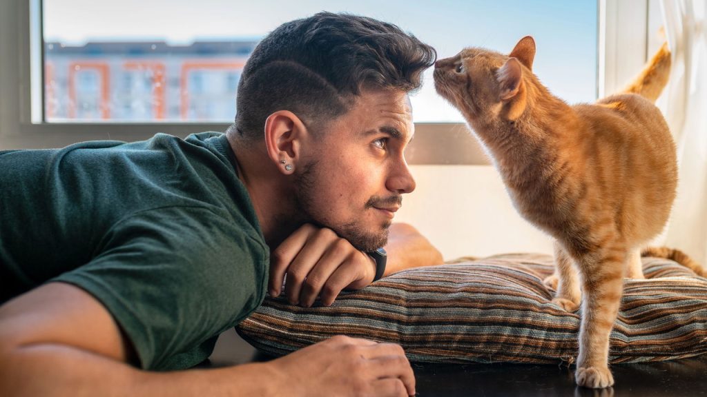 O olfato mais poderoso do mundo animal pertence a eles