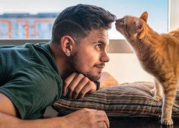 Qual é a melhor forma de chamar o seu gato, segundo especialistas?
