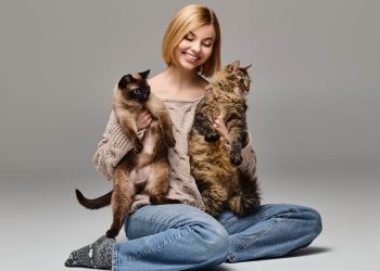 Gostar de gatos pode dizer mais sobre você do que pensa