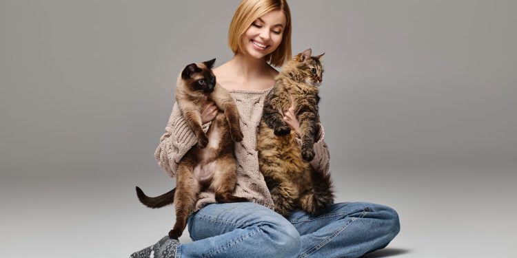 Gostar de gatos pode dizer mais sobre você do que pensa