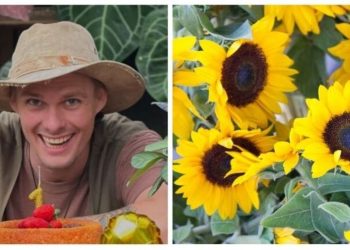 Raí Rech, professor de cultivo " Aprenda como plantar Girassóis"