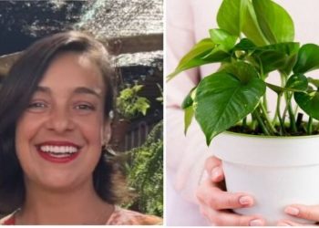 Lyara Moraes, "Jiboias podem reduzir 73% das toxinas cancerígenas do ar da sua casa"
