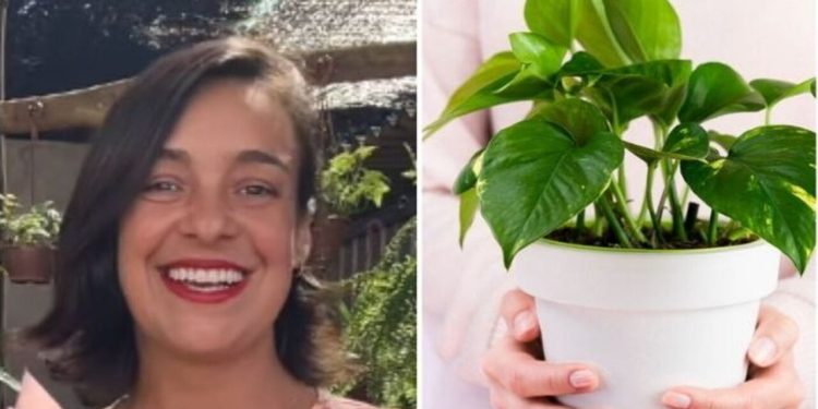 Lyara Moraes, "Jiboias podem reduzir 73% das toxinas cancerígenas do ar da sua casa"