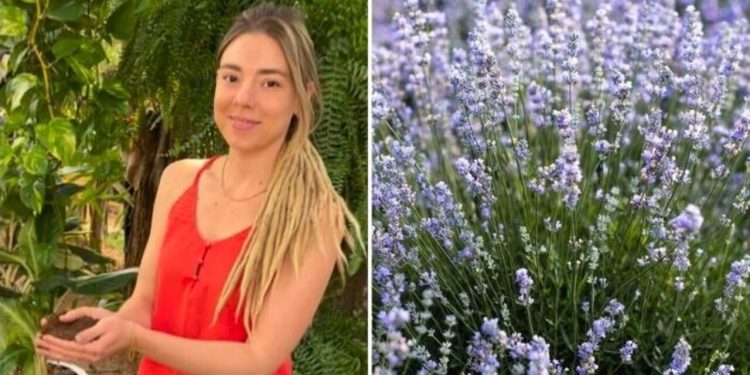 Camilla Lelis, "O segredo para ter lavanda em casa"