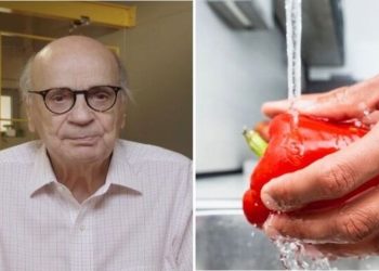 Drauzio Varella, médico "Saiba como lavar os alimentos corretamente