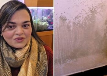 Kátia Ferrarezi, "Como limpar mofo da parede?"