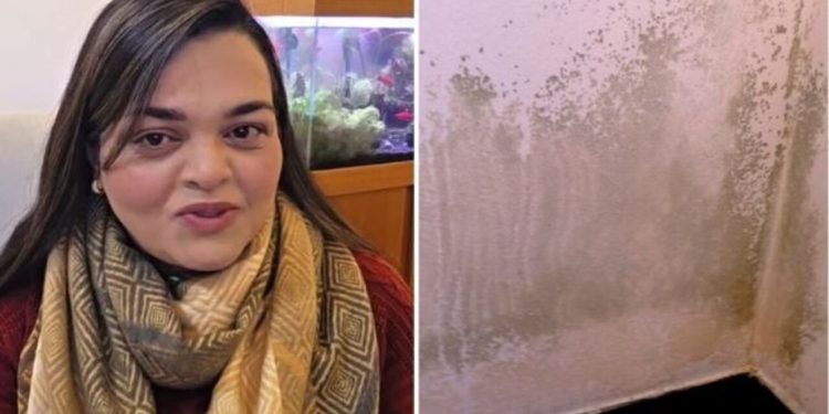 Kátia Ferrarezi, "Como limpar mofo da parede?"